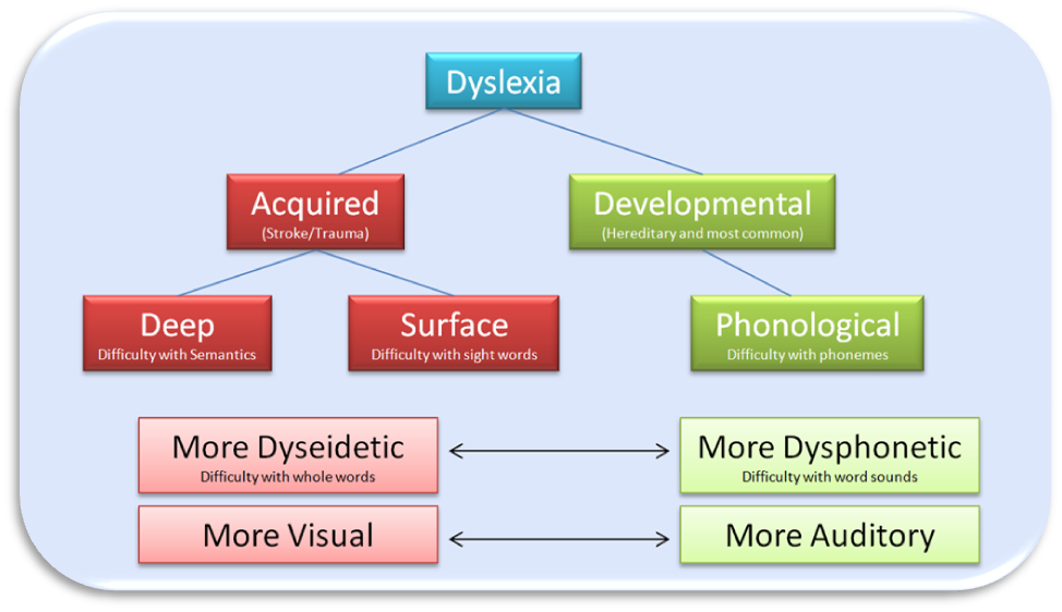 Dyslexia Score Chart